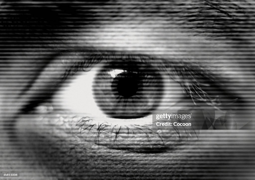 Human Eye