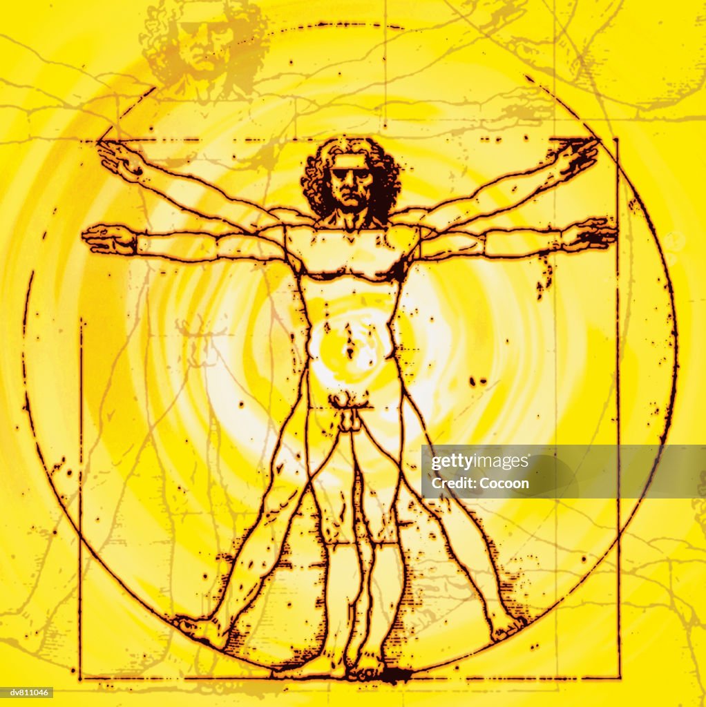 Vitruvian Man By Leonardo Da Vinci C.1490