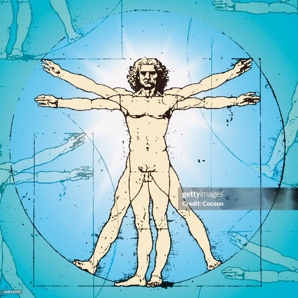 Vitruvian Man By Leonardo Da Vinci C.1490