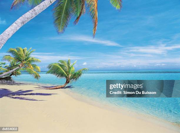 beach, cocos islands - cocos island stock-fotos und bilder