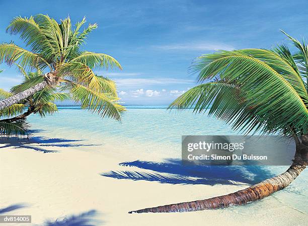 beach, cocos islands - buisson stock pictures, royalty-free photos & images