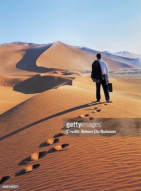 businessman walking over sand dunes - buisson stock pictures, royalty-free photos & images