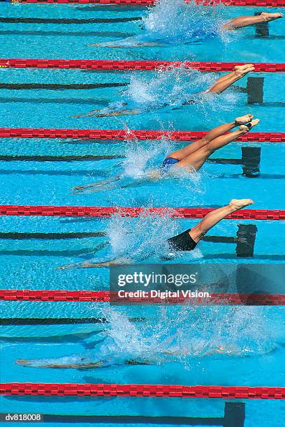 swimmers diving into swimming pool - length stock pictures, royalty-free photos & images