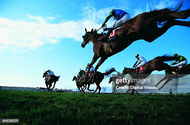 horse race - steeplechasing horse racing stockfoto's en -beelden