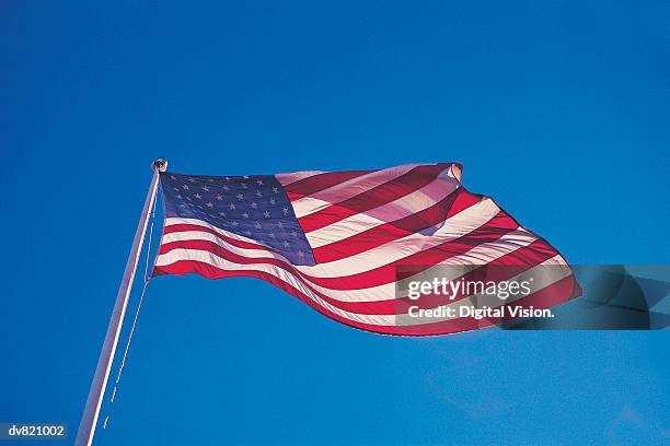 stars and stripes - lionsgate uk screening of film stars dont die in liverpool after party stockfoto's en -beelden