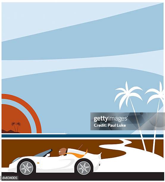 driving a sportscar - luke stock-grafiken, -clipart, -cartoons und -symbole