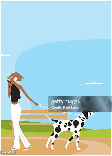 woman walking her dog - luke stock-grafiken, -clipart, -cartoons und -symbole