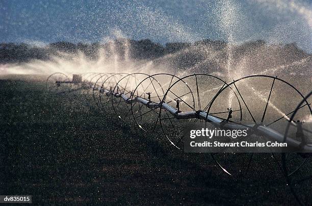 sprinklers spraying water in field - stewart stock-fotos und bilder