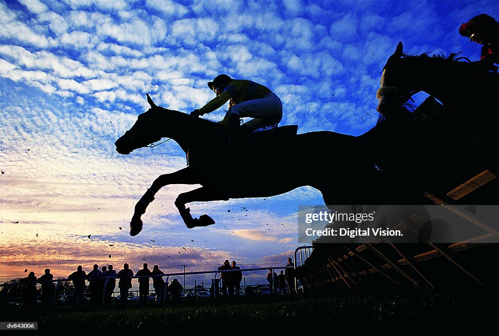 Silhouette of Horses Jumping a Steeplchase