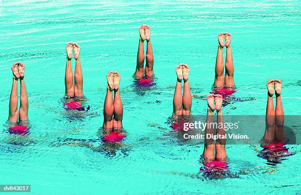 synchronized swimmers - synchronized swimming stock-fotos und bilder