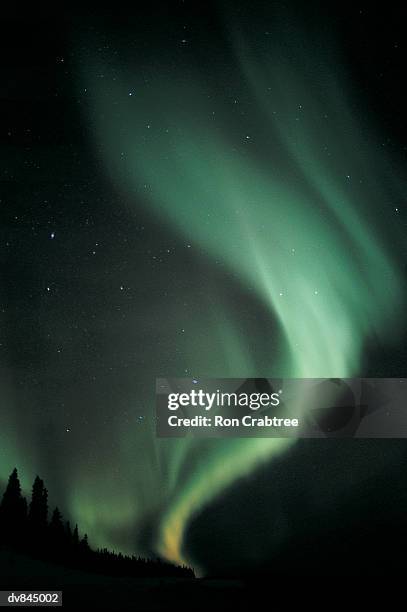 aurora borealis - ron stock pictures, royalty-free photos & images