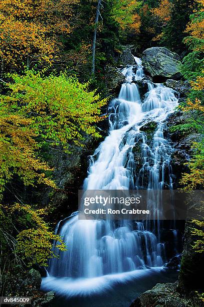 waterfall, white mountains, new hampshire, usa - new hampshire 個照片及圖片檔