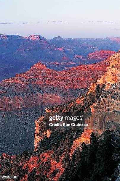 grand canyon, napa, arizona, usa - ron stock pictures, royalty-free photos & images