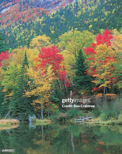 crawford notch, new hampshire, usa - new hampshire 個照片及圖片檔