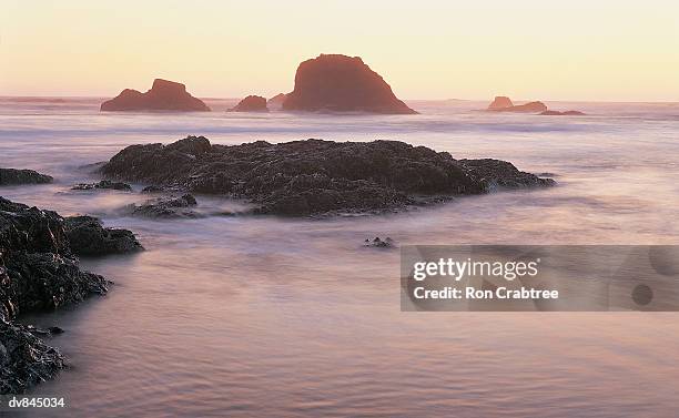 olympic national park, washington, usa - ron stock pictures, royalty-free photos & images