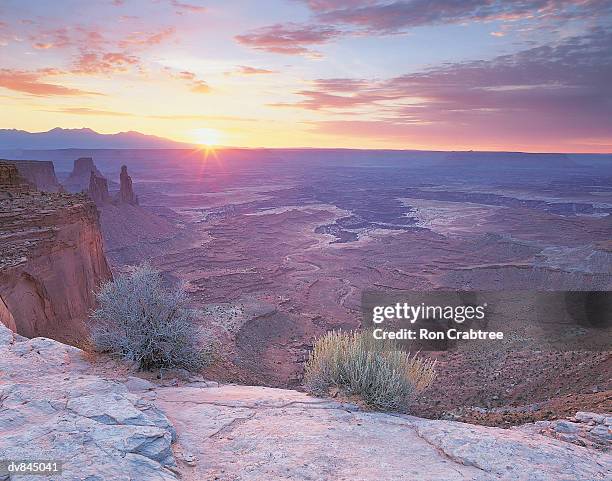 canyonlands national park, utah, usa - ron stockfoto's en -beelden