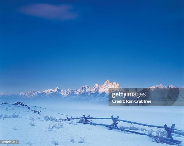 grand teton national park, wyoming, usa - ron stock pictures, royalty-free photos & images