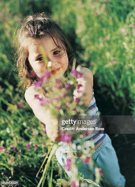 girl standing in a field holding a bunch of flowers - andersen ross stockfoto's en -beelden