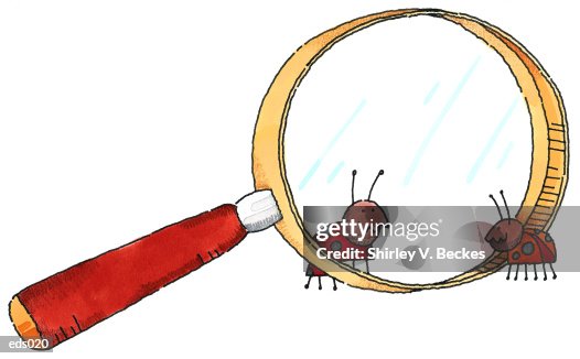 Bugs & Magnifying Glass Bugs & Magnifying Glass