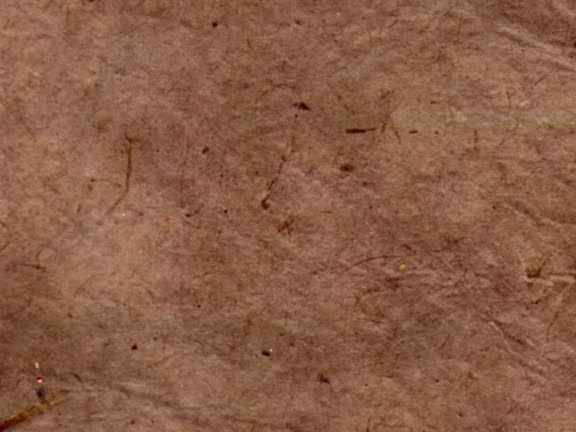 Brown Ruff Texture 2,167 Rough Brown Texture Stock Videos, Footage, & 4K Video Clips ...