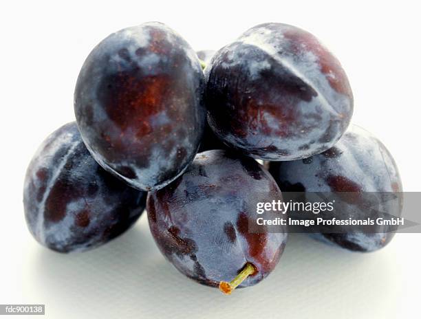 a pile of damson plums - damson stock-fotos und bilder