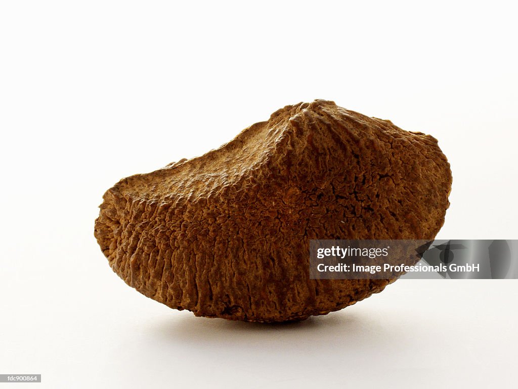 A Brazil Nut