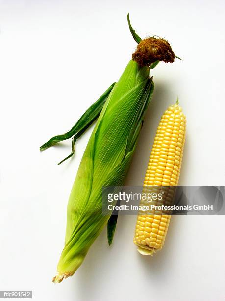 two ears of corn, with and without husk - without fotografías e imágenes de stock