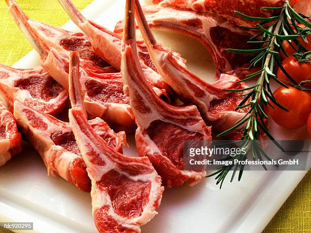 fresh lamb chops, rosemary and tomatoes - lamb cutlets bildbanksfoton och bilder