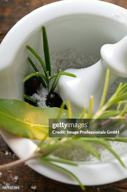 coarse salt, juniper berries, bay leaf & rosemary in mortar - wacholderbeeren stock-fotos und bilder