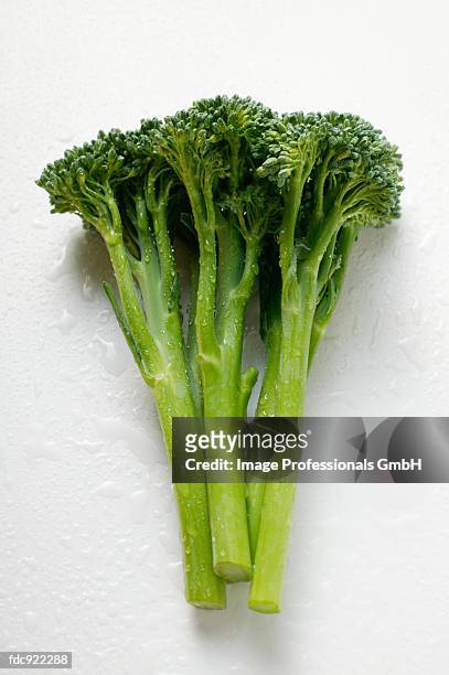 broccoli with drops of water - broccoli on white stockfoto's en -beelden