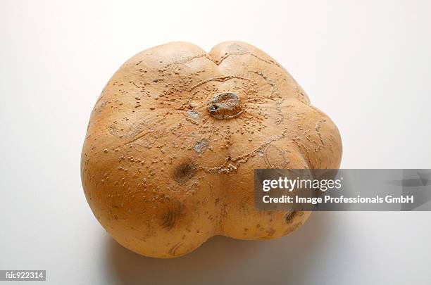 mexican potato (jicama) - jicama 個照片及圖片檔