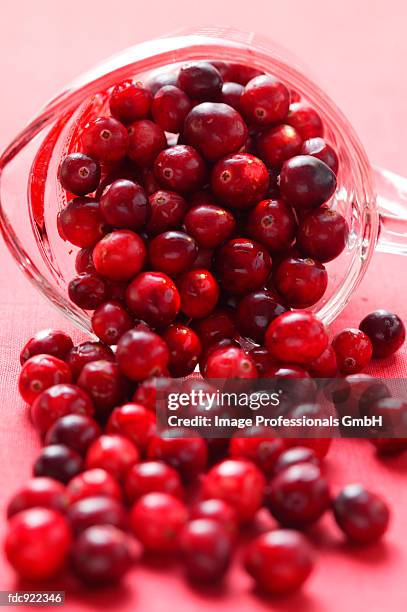 cranberries falling out of measuring jug - measuring jug stock pictures, royalty-free photos & images