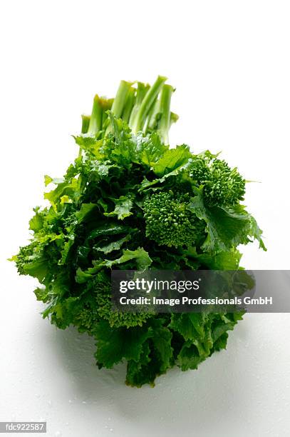 Kaspe Rabe 714 Broccoli Rabe Stock Photos, High-Res Pictures, and Images - Getty ...