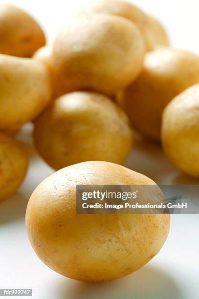 yukon gold potatoes - yukon gold stock pictures, royalty-free photos & images