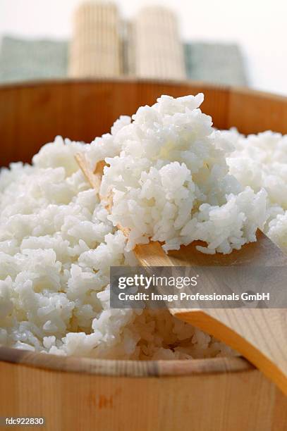 boiled sushi rice in wooden bowl - sushi rice stock pictures, royalty-free photos & images