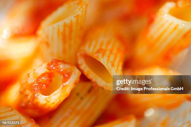 penne rigate with tomato sauce (detail) - savory sauce fotografías e imágenes de stock