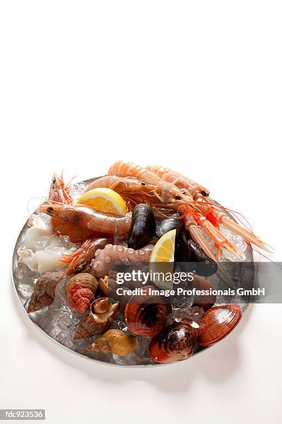 seafood on plate of crushed ice - crushed ice stock pictures, royalty-free photos & images