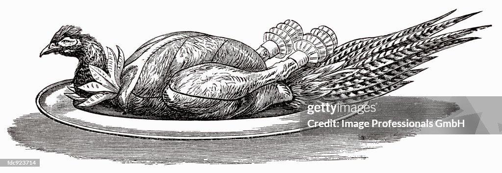 Pheasant on silver platter (illustration)