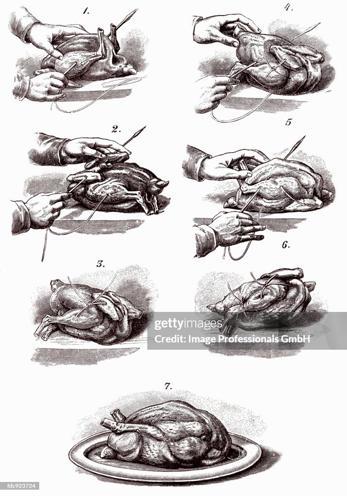 Trussing poultry (illustration)