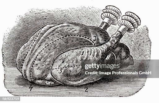 Poularde (illustration) Poularde (illustration)