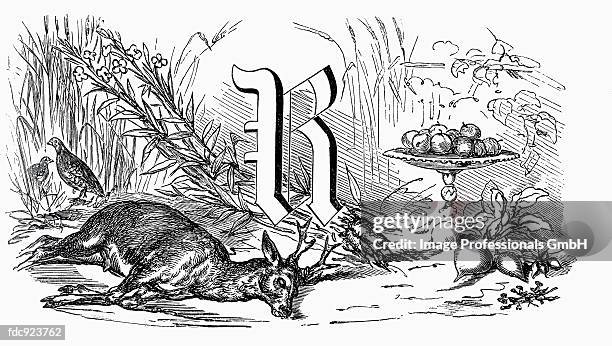 Lettr R In Roots Image Root Photos and Premium High Res Pictures - Getty Images