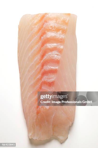 Redfish Fillet High-Res Stock Photo