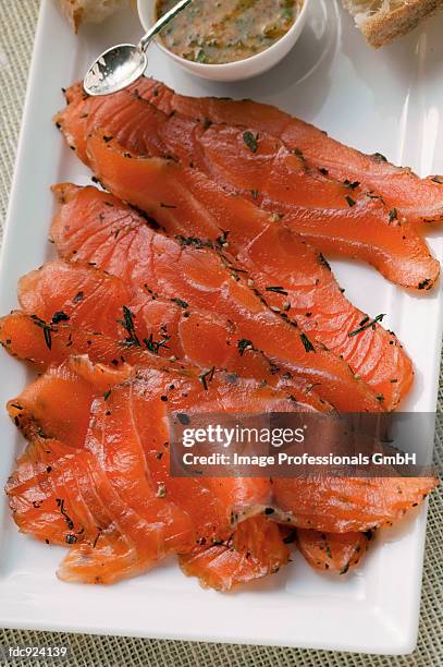 graved lachs with dill; mustard sauce; white bread - savory sauce fotografías e imágenes de stock