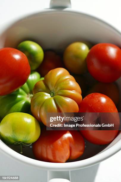 assorted tomatoes in white pan - beefsteak tomato stock pictures, royalty-free photos & images