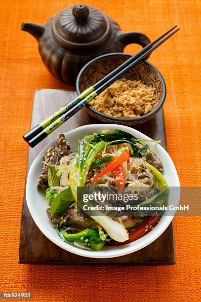 glass noodles with beef and vegetables; chopped peanuts - fideo transparente fotografías e imágenes de stock