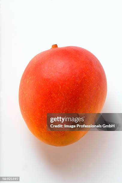 Mango Colore 26,625 Mango (Color) Stock Photos, High-Res Pictures, and Images ...