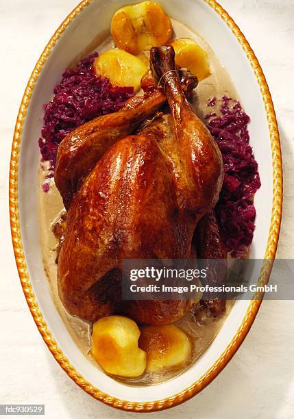 stuffed turkey with chestnut sauce - stuffed turkey stock pictures, royalty-free photos & images