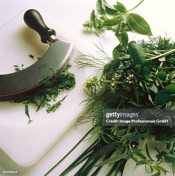 preparing herbs - mincing knife stock pictures, royalty-free photos & images