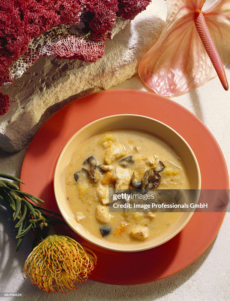 Exotic susu curry with chicken