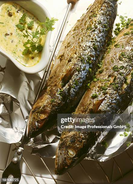 mackerels for the grill - mustard sauce stock pictures, royalty-free photos & images